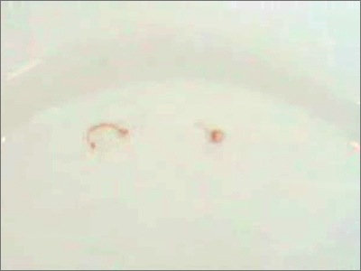 200905172314.jpg