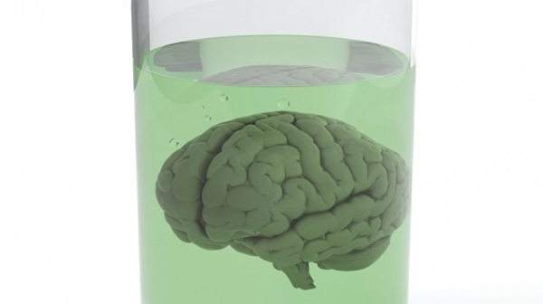 Brain in jar via Shutterstock 615x345
